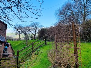 Rear Garden- click for photo gallery